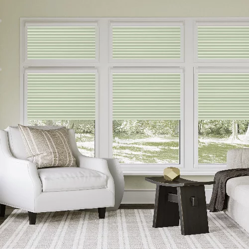 Delia Moss Perfect Fit Pleated Blind | Online Blindz