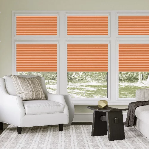 Forsythia Terra Perfect Fit Pleated Blind | Online Blindz