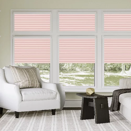 Watergate Rose Perfect Fit Pleated Blind | Online Blindz