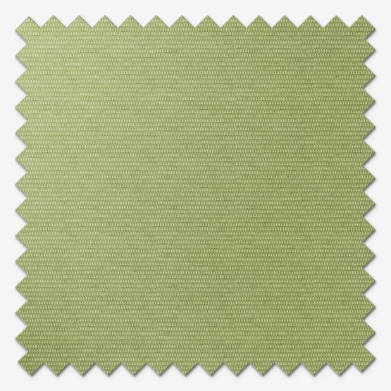 https://onlineblindz.co.uk/hub/blinds/perfect-fit-roller-blind/nefertiti-palette-green-perfect-fit-roller-blind-4.webp