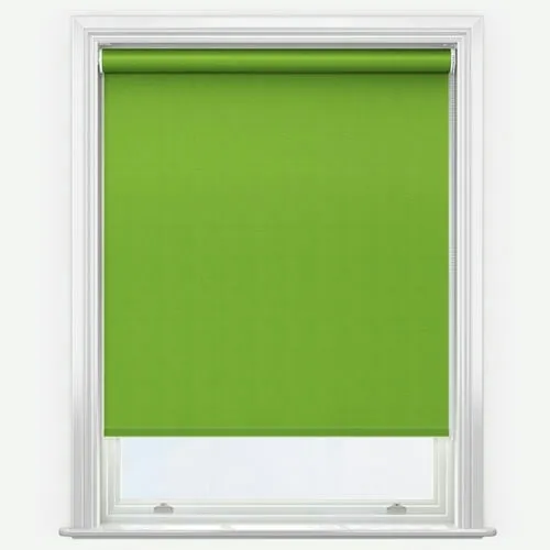 https://onlineblindz.co.uk/hub/blinds/roller-blind/zenobia-apple-green-roller-blind-2.webp