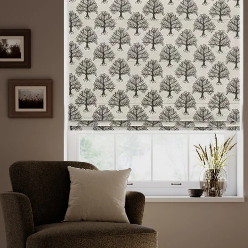 https://onlineblindz.co.uk/hub/blinds/roman-blind/aroma-coal-roman-blind-1.webp