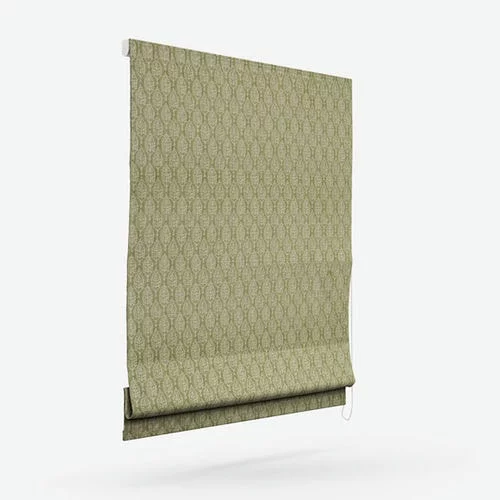 https://onlineblindz.co.uk/hub/blinds/roman-blind/gabriela-pistachio-roman-blind-3.webp