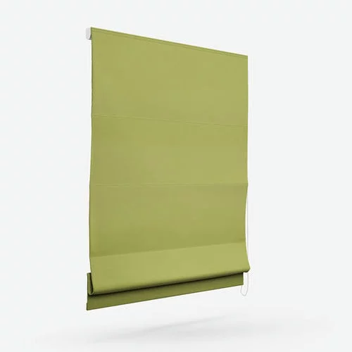 Jameson Aloe Roman Blind | Online Blindz