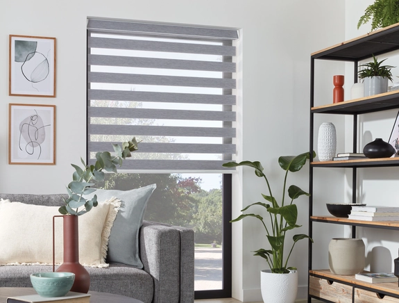 Day and Night Blinds (65)