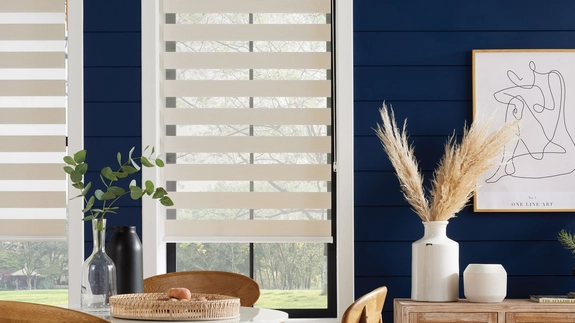 Day and Night Blinds (69)