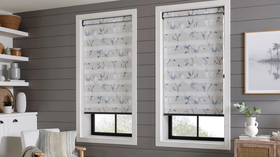Day and Night Blinds (78)
