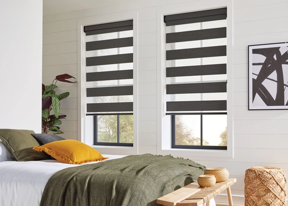 Day and Night Blinds (99)