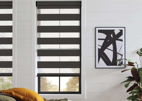 Day and Night Blinds (100)