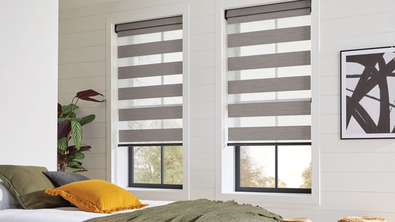 Day and Night Blinds (108)