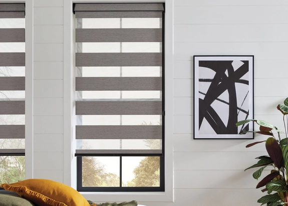 Day and Night Blinds (109)