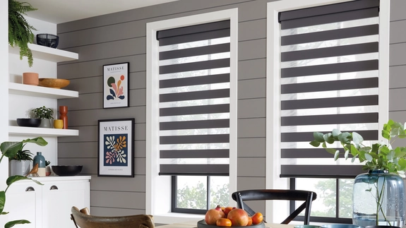 Day and Night Blinds (113)