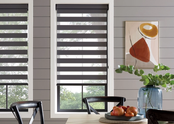 Day and Night Blinds (116)