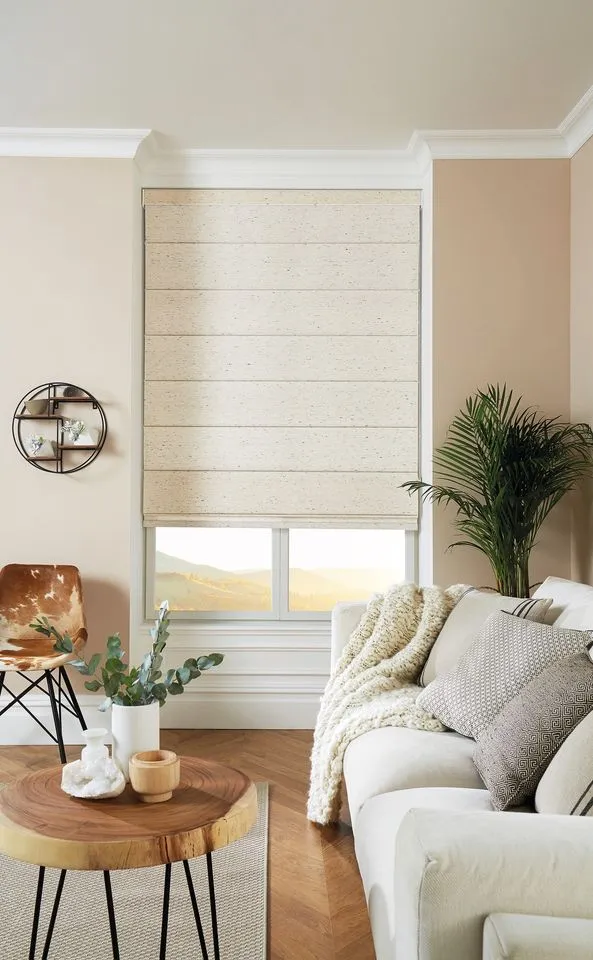 Roman Blinds (25)